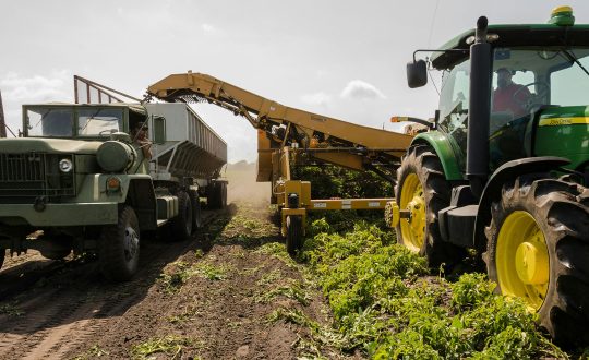 Land-based Industry - Adult Education Skills Bootcamp, Brighton, UK.